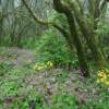 Der Nationalpark im Frühling