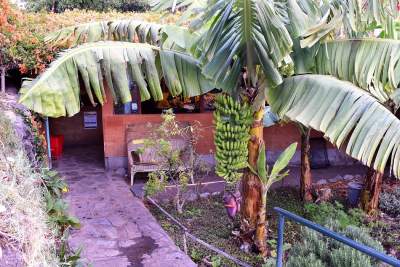 La Gomera Bio Finca