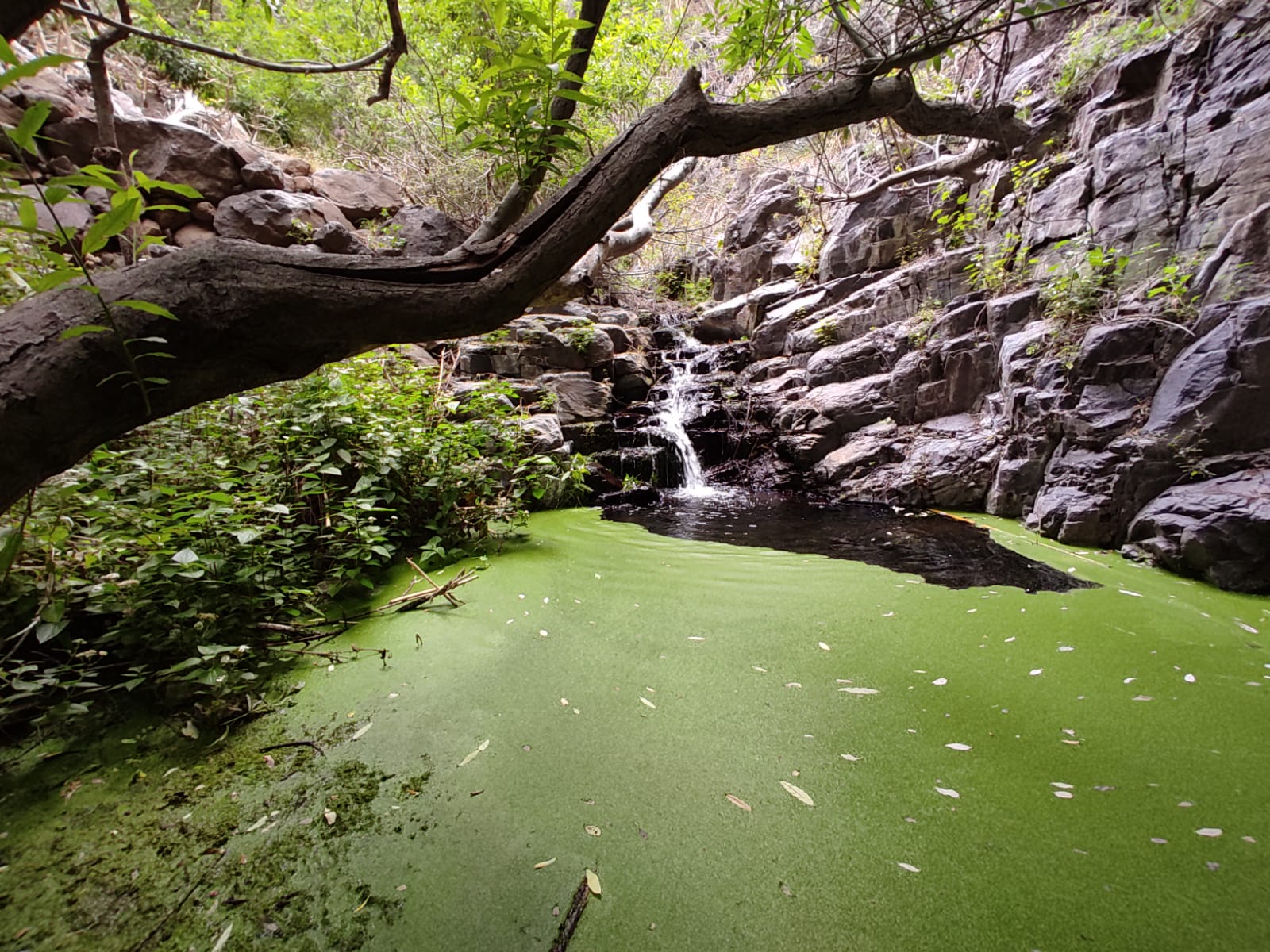 wasserfall-el-guro-der-weg.jpg